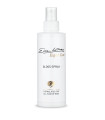 GLOSS HAIR SPRAY ELLEN WILLE