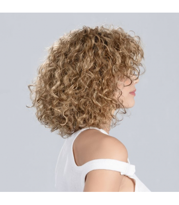 Disco aubergine rooted