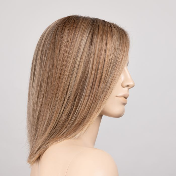 lightbernstein rooted